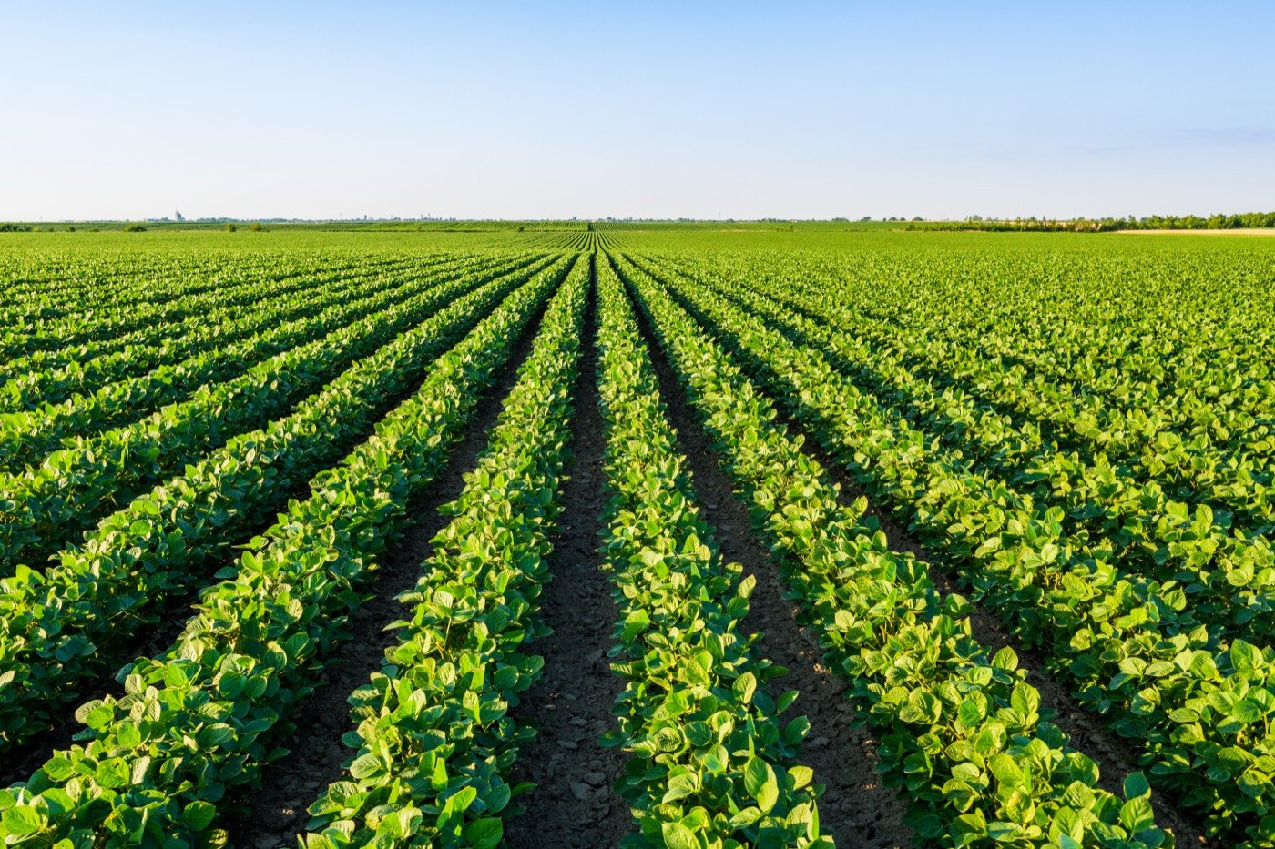 Agriculture